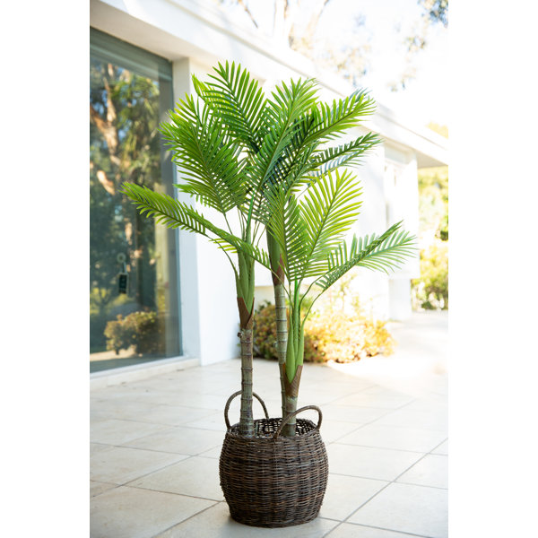 Primrue 62'' Faux Palm Tree in Basket Wayfair